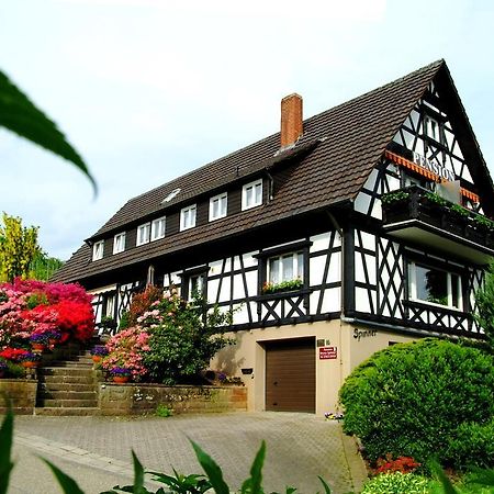 Pension Am Weinberg Sasbachwalden Exterior foto