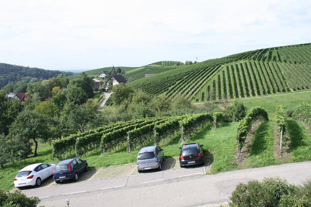 Pension Am Weinberg Sasbachwalden Exterior foto